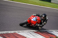 Advanced Group Red Bikes